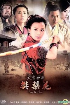 大唐女将樊梨花