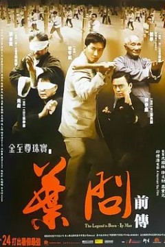 叶问前传2010