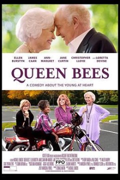 欢迎来到松树林