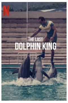 海豚王之死2022