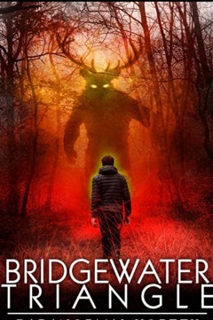 布里奇沃特三角：超自然漩涡