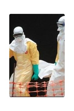 寻找治愈埃博拉病毒的方法2014