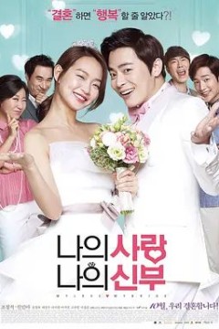 我的爱我的新娘2014
