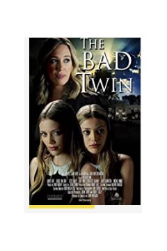 坏双胞胎