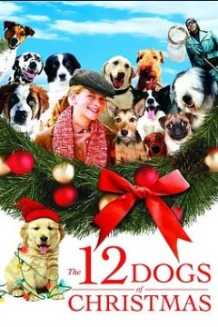 抢救狗狗大作战