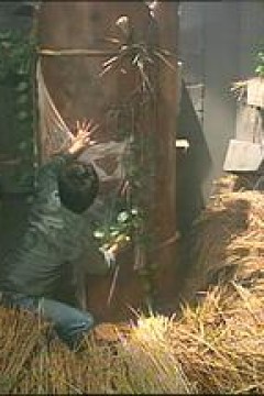 一千灵异夜之凶穴