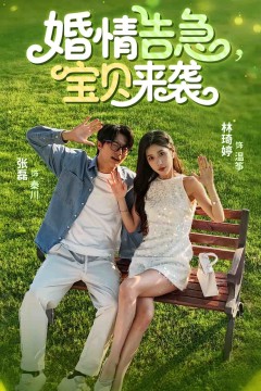 婚情告急宝贝来袭