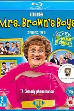 布朗夫人的儿子们第二季