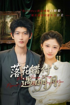 落花错付遇明月