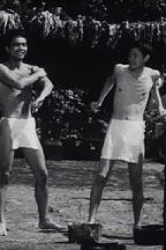 零式机：大空战