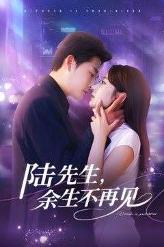 陆先生，余生不再见