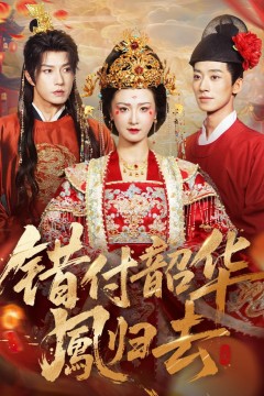 错付韶华凤归去(凤起青萍末)