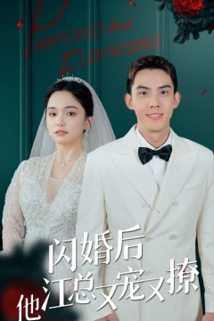 闪婚后江总他又宠又撩