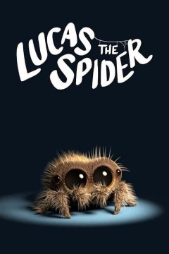 小蜘蛛卢卡斯