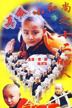 真命小和尚之十二铜人
