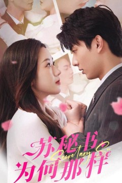 苏秘书为何那样(报告苏秘书，傅总想上位)