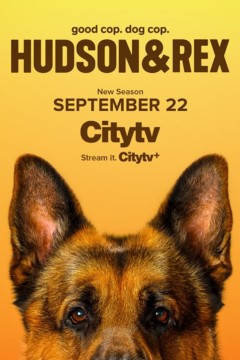 哈德森与雷克斯第八季