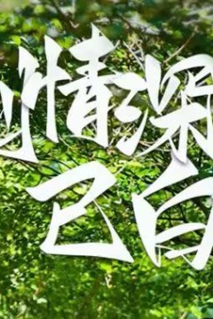 爱到情深已白首