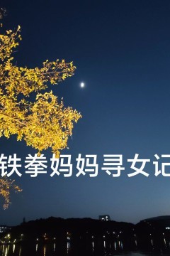 铁拳妈妈寻女记