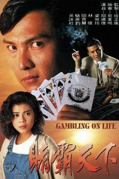 赌霸天下1993