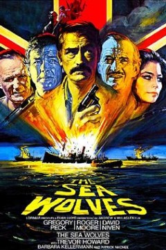 海狼(国语版)上