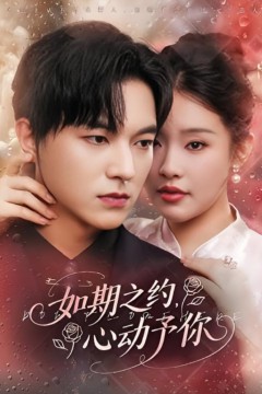 如期之约心动予你