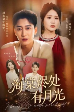 海棠烬处有月光