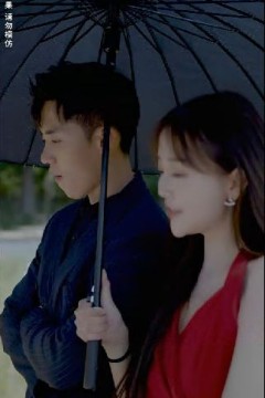 偏执凌少宠妻如命