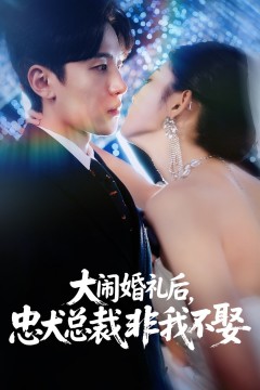大闹婚礼后忠犬总裁非我不娶