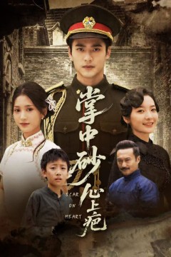 掌中砂心上疤(踏平山河难见卿)