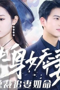 替身娇妻：总裁追妻如命