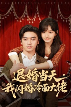 退婚当天，我闪婚冷面大佬(换个老公，三年抱俩真香)