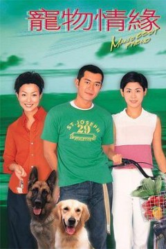宠物情缘