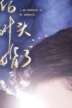 双穿后，我跟死对头结婚了