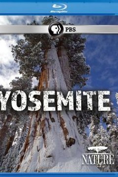 自然：约塞米蒂国家公园