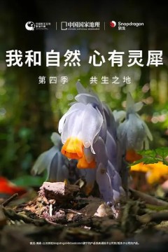 我和自然心有灵犀第四季