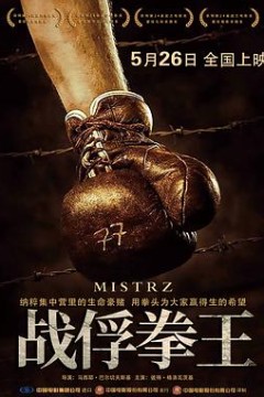 战俘拳王国语版