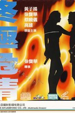 终极危情(粤语版)