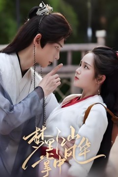 梦里江山掌中风华