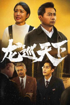 龙巡天下短剧版