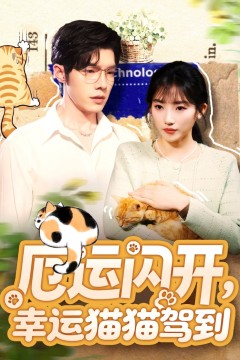 厄运闪开，幸运猫猫驾到