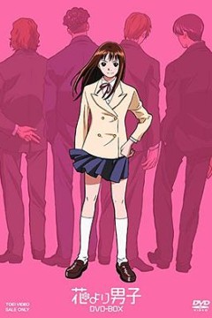 流星花园动漫版