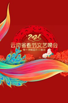 2025云南春晚