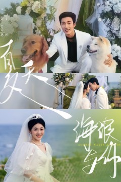 夏天海浪与你