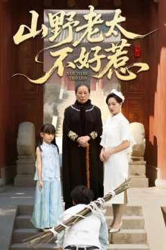 山野老太不好惹(奶奶一脚震全城)