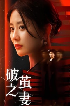 破茧之妻(婚姻的救赎)