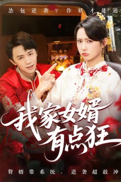 我家女婿有点狂