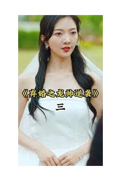 弃婚之龙帅逆袭