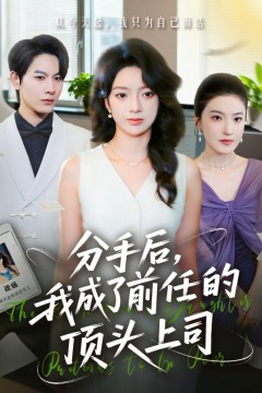 分手后我成了前任的顶头上司