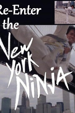 重述纽约忍者